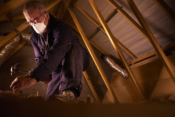 Best DIY Insulation Kits and Guidance in Bay Minette, AL