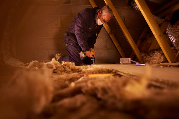 Best DIY Insulation Kits and Guidance in Bay Minette, AL